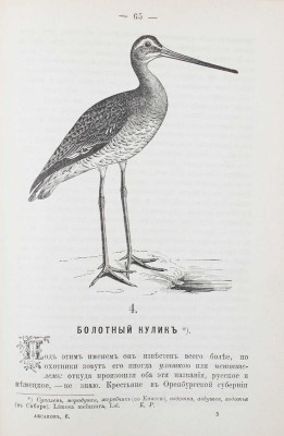 Аксаков С.Т. Полное собрание сочинений Сергея Тимофеевича Аксакова. [В 6 т.]. [Т. 6]. Записки ружейного охотника Оренбургской губернии. С политипажами и с примеч. К.Ф. Рулье. СПб.: В тип. В. Безобразова и Комп., 1886.
